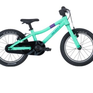 Contrail 160 Bike Spring Green